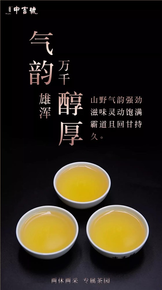 普洱茶价格表